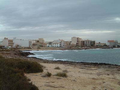 DSCF0099.JPG
